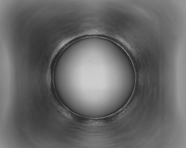 X0000112021270200908171423