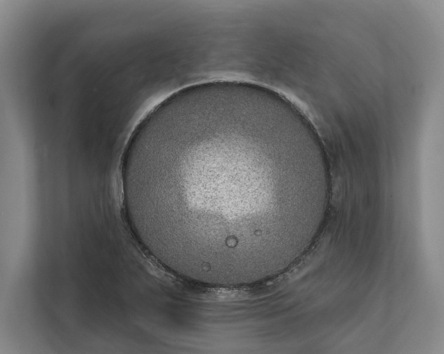 X0000112021271200908171423