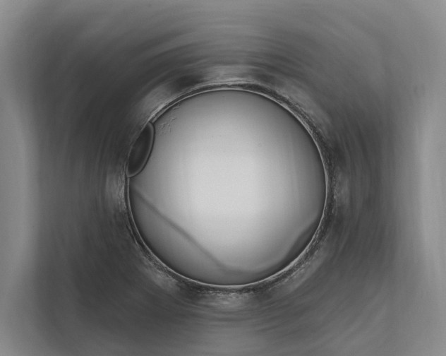 X0000112021273200908171423