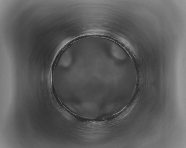 X0000112021275200908171423