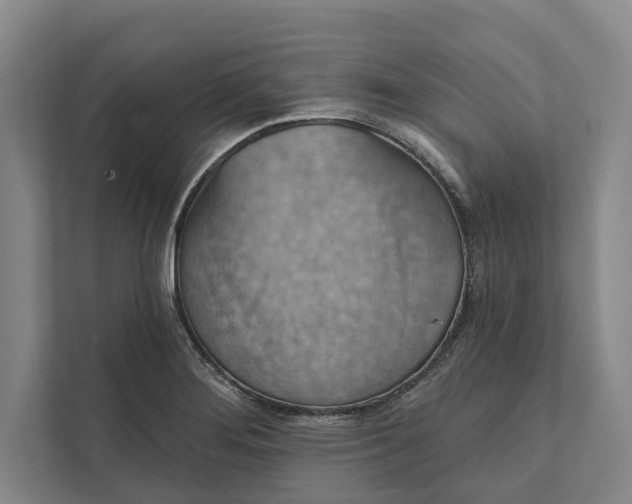 X0000112021276200908171422