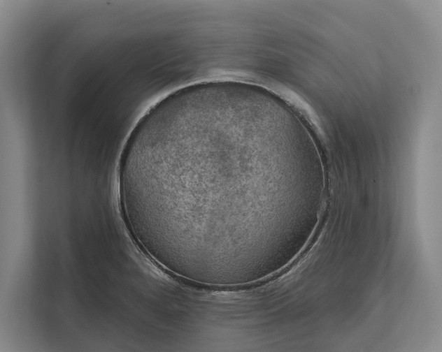 X0000112021280200908171422