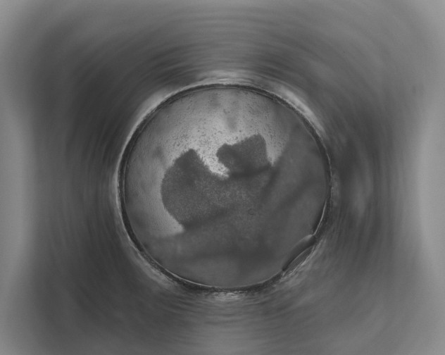 X0000112021283200908171422