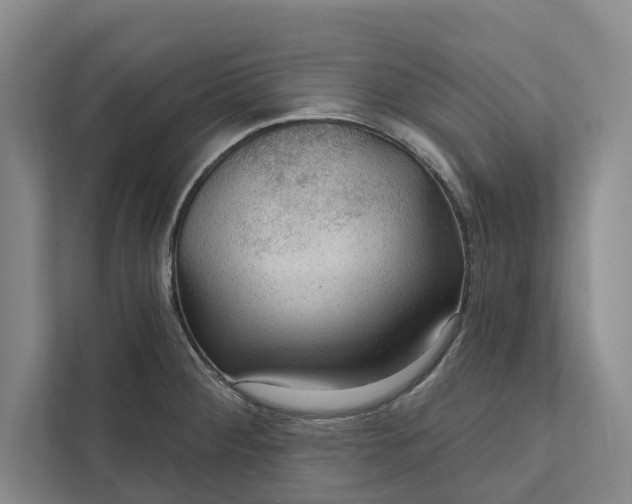 X0000112021284200908171422