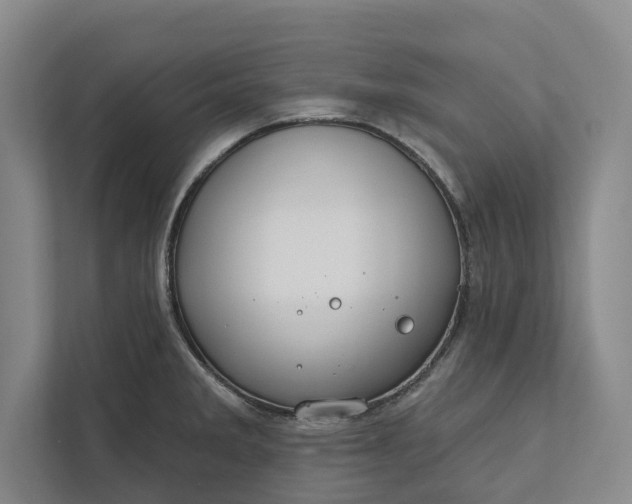 X0000112021285200908171422