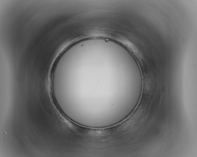 X0000112021286200908171422