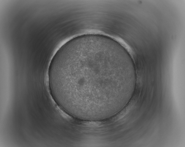 X0000112021287200908171422