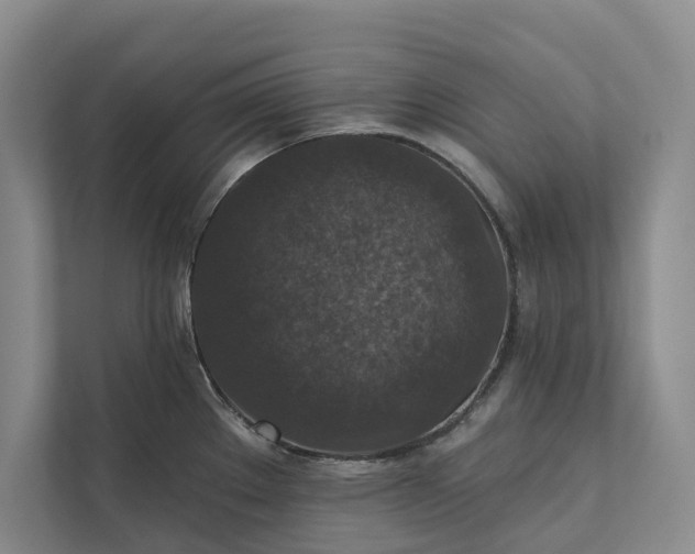 X0000112021289200908171422