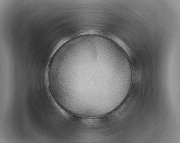 X0000112021290200908171422