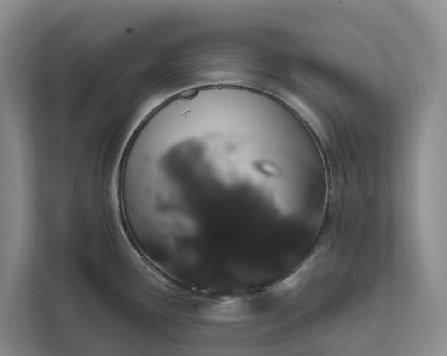 X0000112021291200908171422