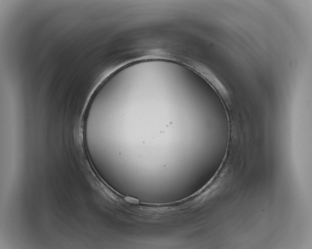 X0000112021292200908171422