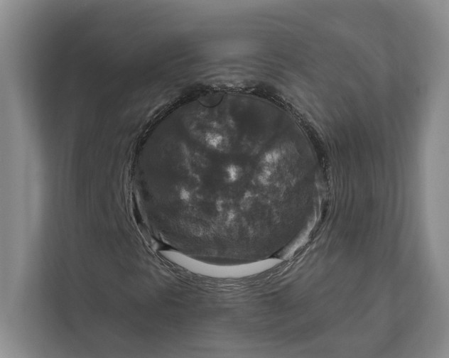 X0000112021297200908171422