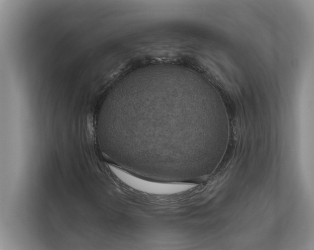 X0000112021298200908171422