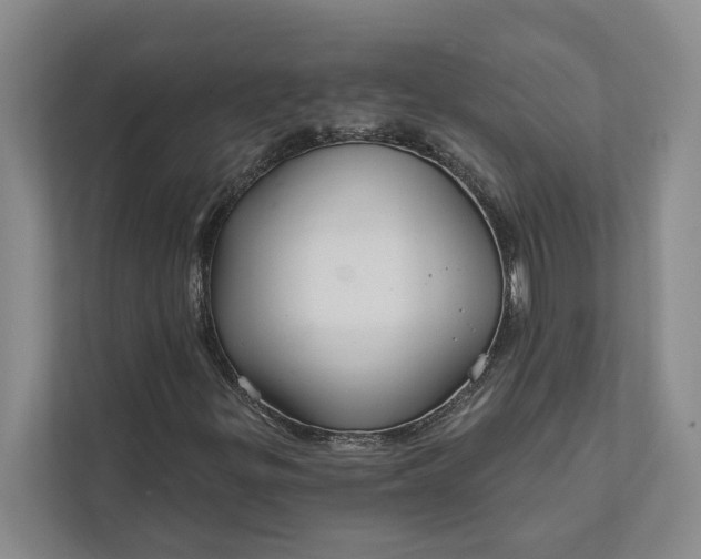 X0000112021299200908171422