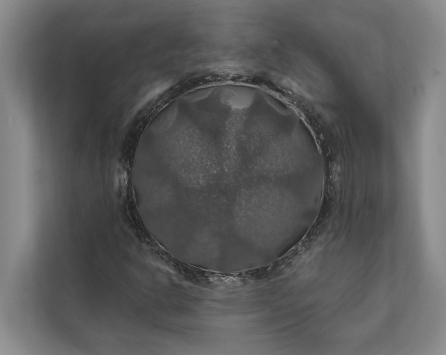 X0000112021302200908171422