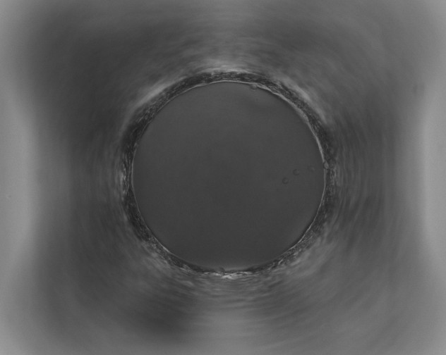 X0000112021303200908171422