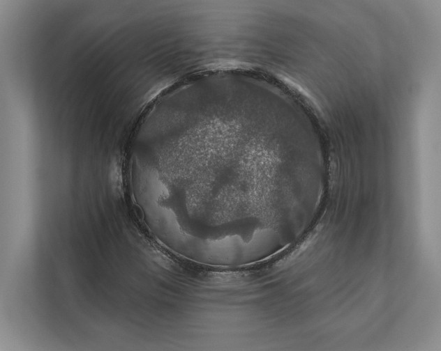 X0000112021305200908171422