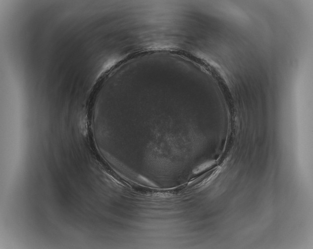 X0000112021306200908171422