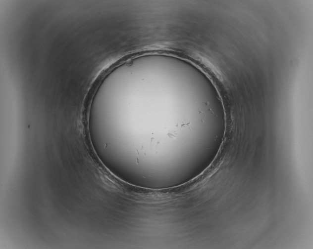 X0000112021308200908171422