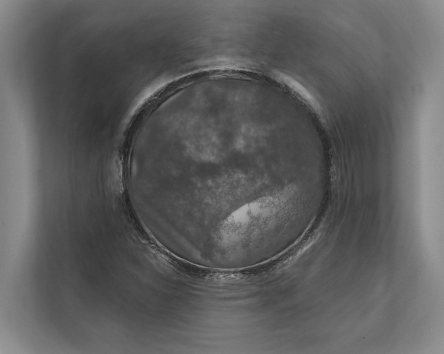 X0000112021310200908171422