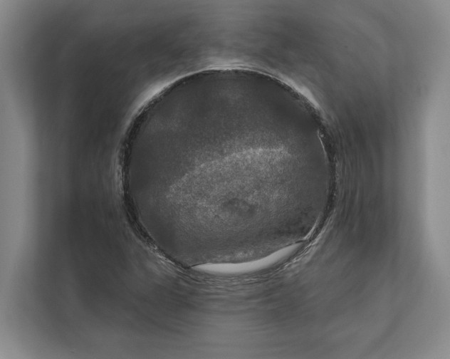 X0000112021311200908171422