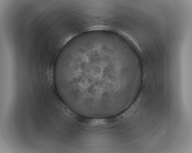 X0000112021313200908171422