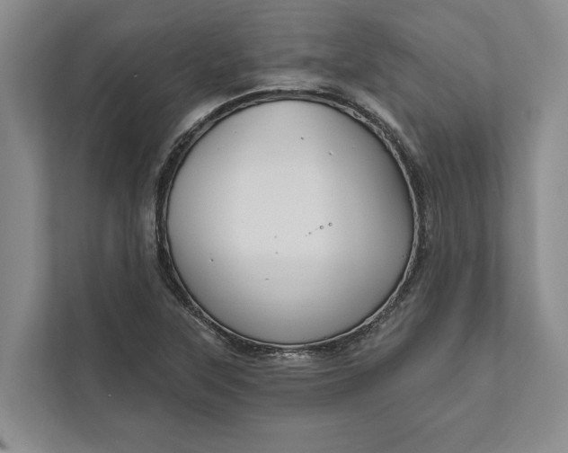 X0000112021315200908171422