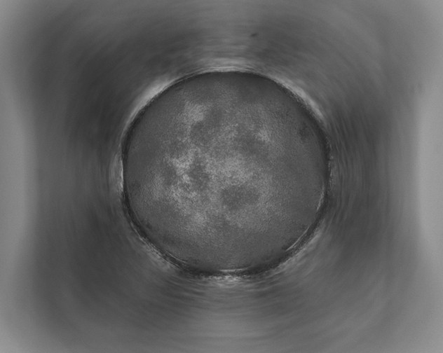 X0000112021317200908171422