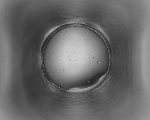 X0000112021320200908171422