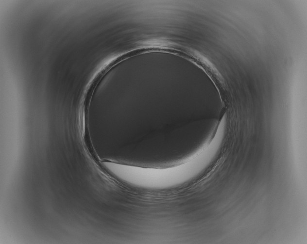 X0000112021323200908171422