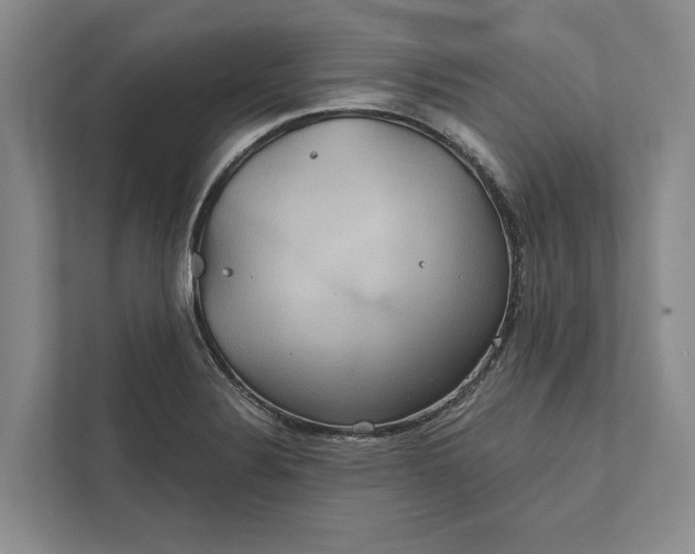 X0000112021324200908171422