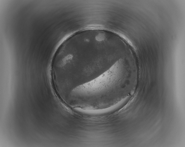 X0000112021325200908171422