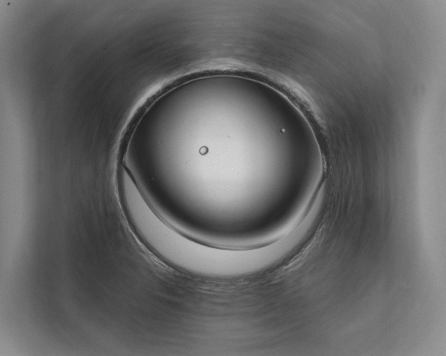 X0000112021326200908171422