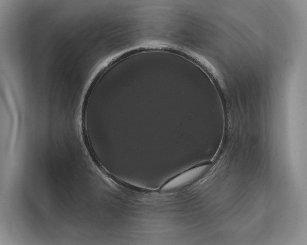 X0000112021327200908171422