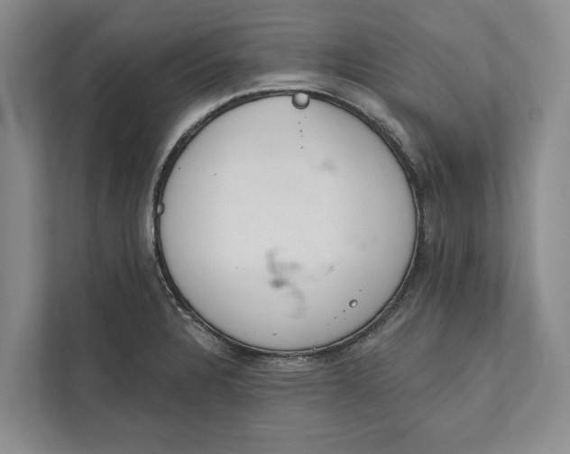 X0000112021328200908171422