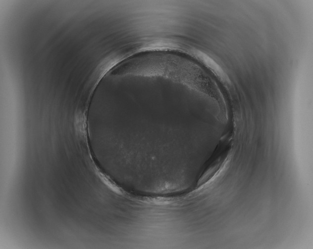 X0000112021329200908171422