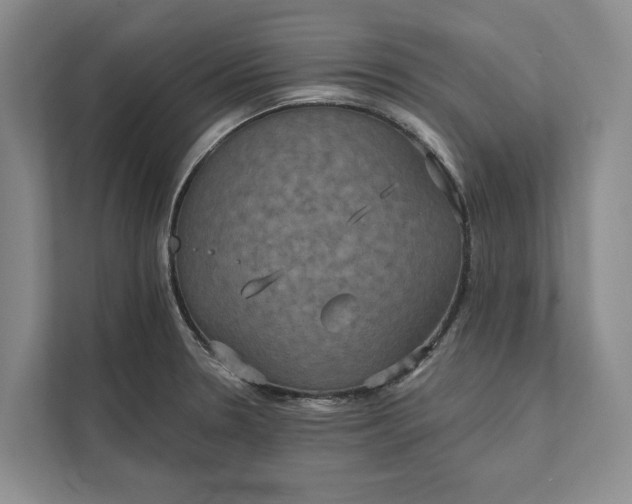 X0000112021330200908171422