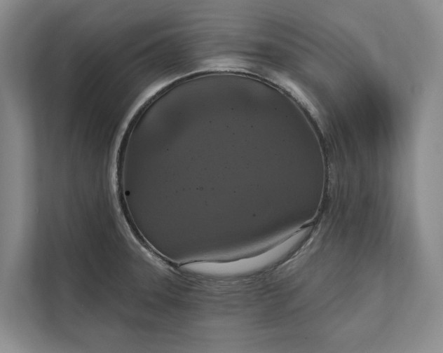 X0000112021331200908171422