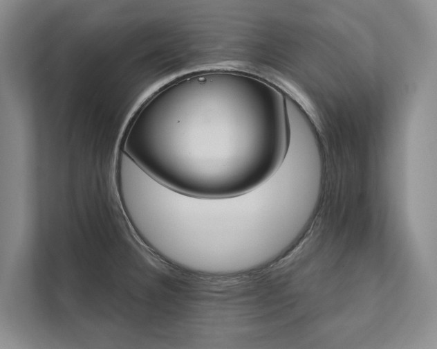 X0000112021332200908171422