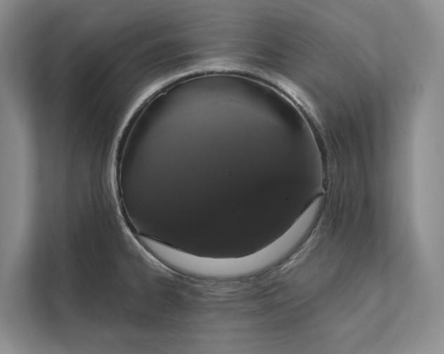 X0000112021334200908171422