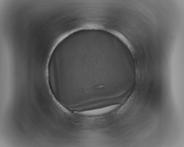 X0000112021335200908171422