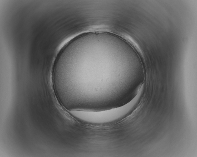 X0000112021336200908171422