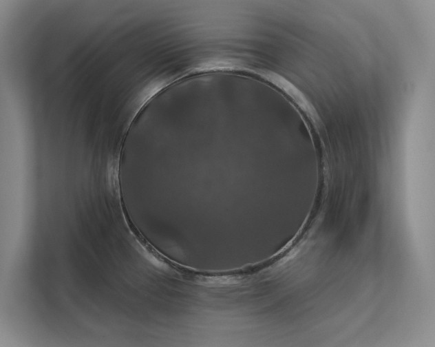 X0000112021337200908171422