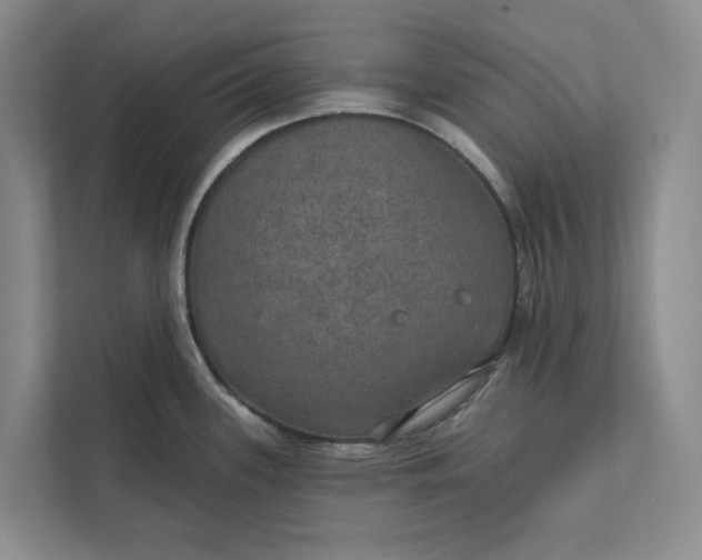 X0000112021339200908171422