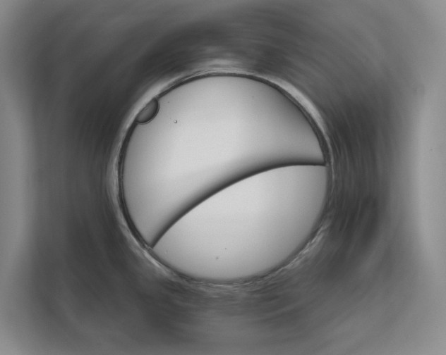 X0000112021341200908171422