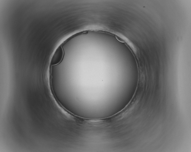 X0000112021343200908171422