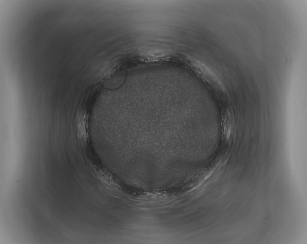 X0000112021346200908171422