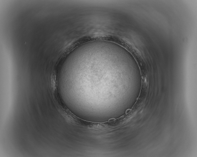 X0000112021348200908171422