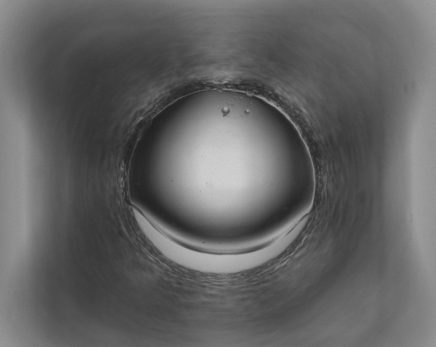 X0000112021349200908171422