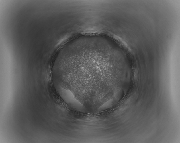 X0000112021350200908171422